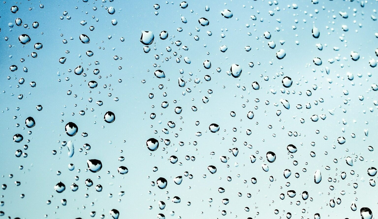 霧雨と小雨の違いはなに?言葉の意味や表現方法、類語などもご紹介♪ | あめつちコトノハ