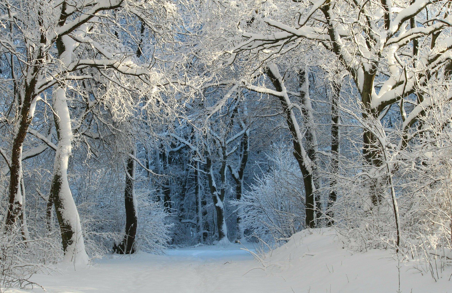 冬をあらわす綺麗な言葉 冬の季語や美しい日本語をまとめました あめつちコトノハ