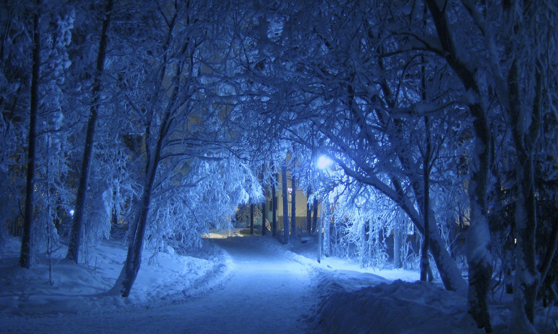 冬の夜 を表現することば 季語や俳句 連想語や文章もご紹介します あめつちコトノハ